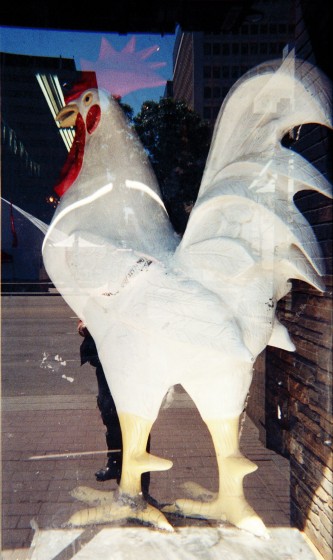 This bird is a 13 foot Swiss Chalet Chicken at "OIL CITY" 108 street & Jasper Avenue Edmonton!  