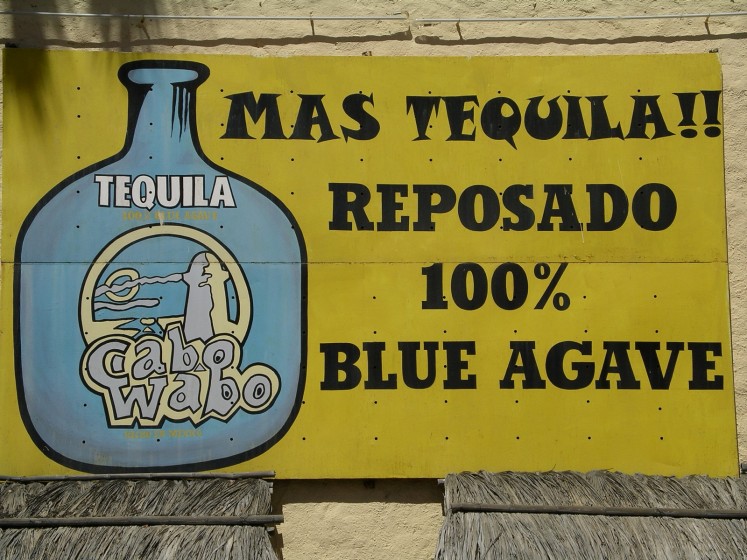 Cabo Wabo Tequila Sign at the Cantina 2003