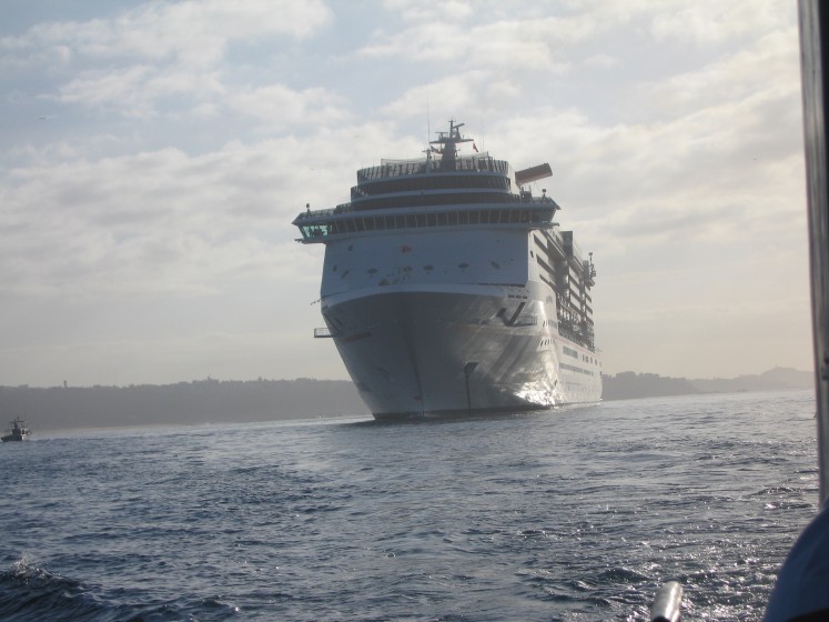 Cruise 2006