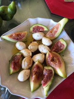 Fresh Garden to Table Dinner - Sammy's Fresh Tomato Sauce