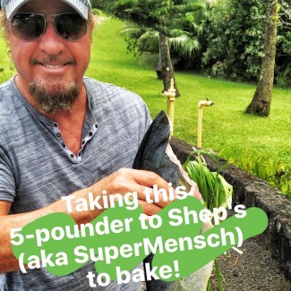 Mahi Mahi Instagram Story: Saltbaking with Shep Gordon & Questlove