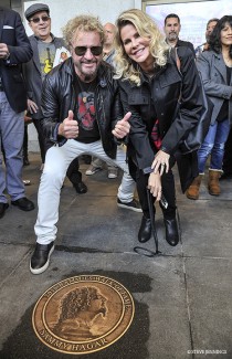 BAMMIES Walk Of Fame Induction